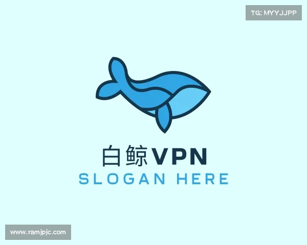解读白鲸VPN